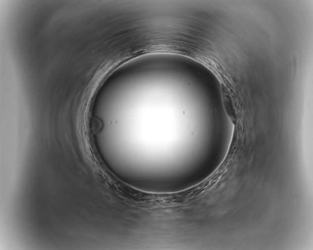 X0000094350289200711021438