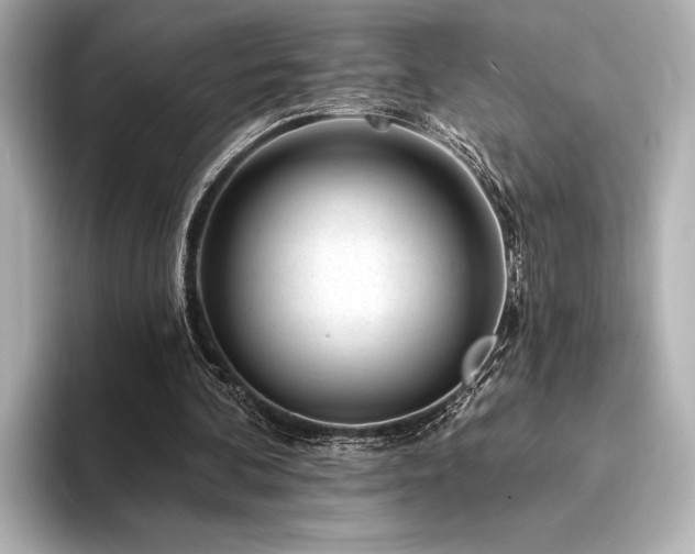 X0000094350292200711021438