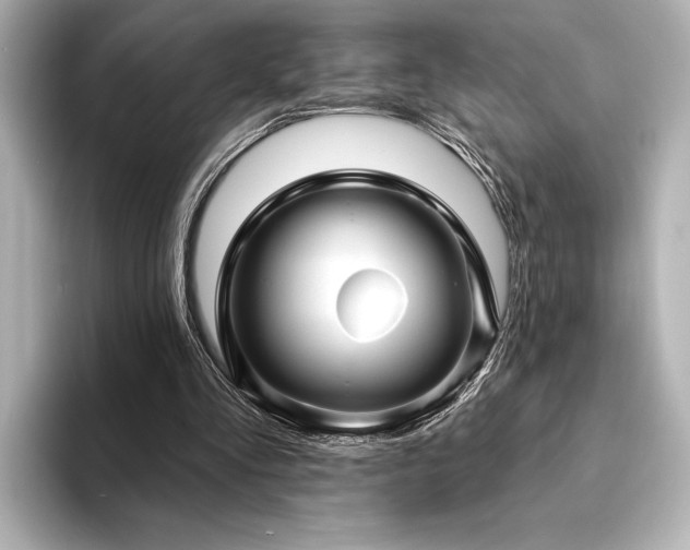 X0000094350293200711021438