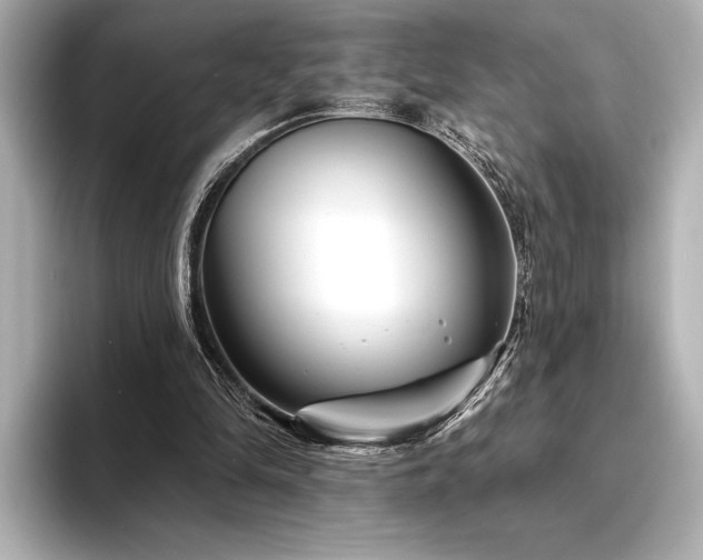 X0000094350294200711021438