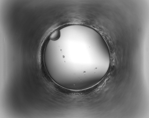 X0000094350296200711021438