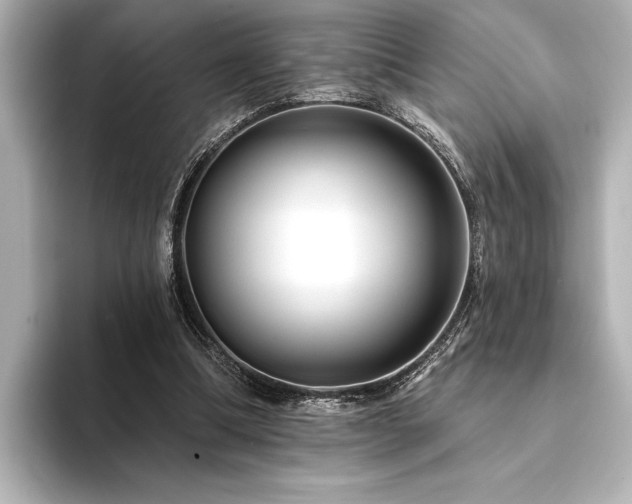 X0000094350298200711021437