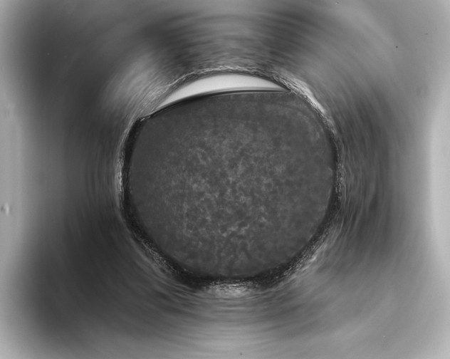 X0000094350299200711021437