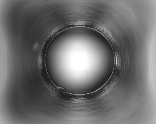 X0000094350300200711021437