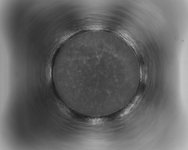 X0000094350301200711021437