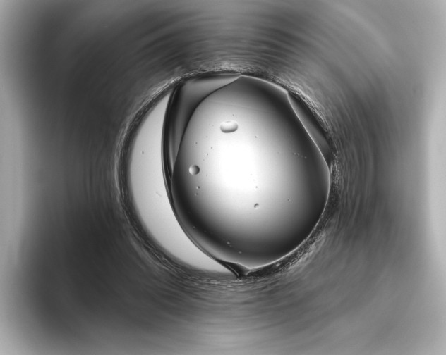 X0000094350302200711021437