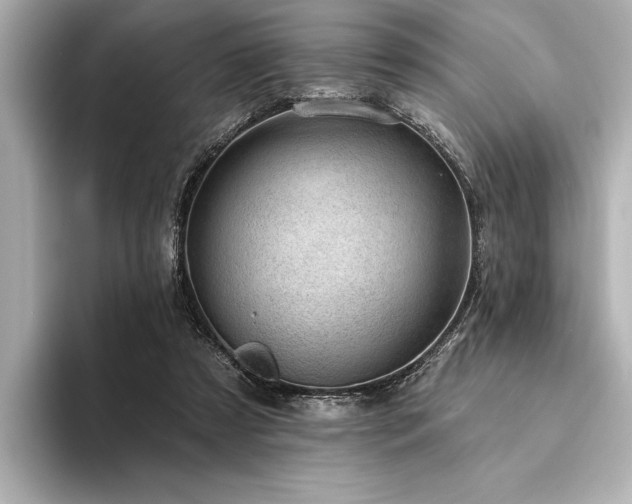 X0000094350305200711021437