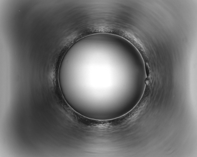 X0000094350306200711021437