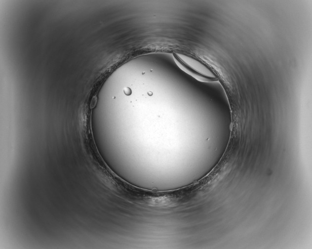 X0000094350309200711021437