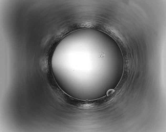 X0000094350312200711021437