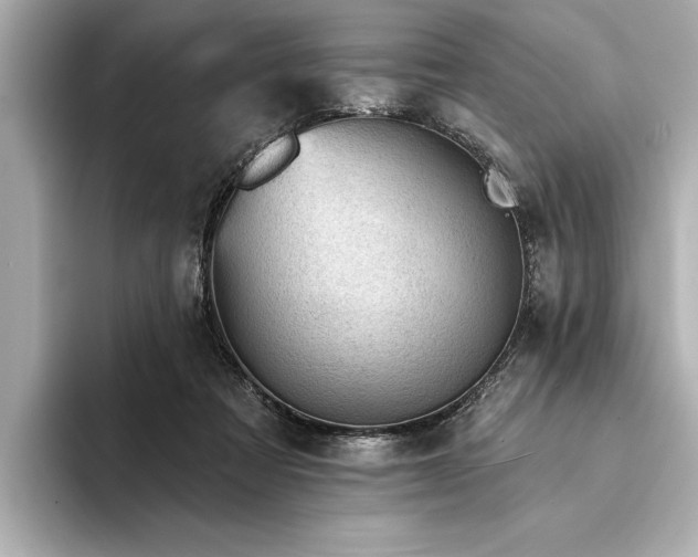 X0000094350313200711021437