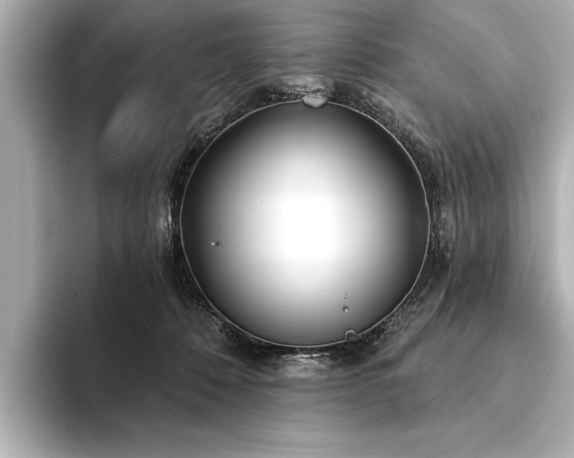 X0000094350320200711021437