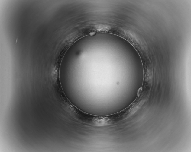 X0000094350321200711021437