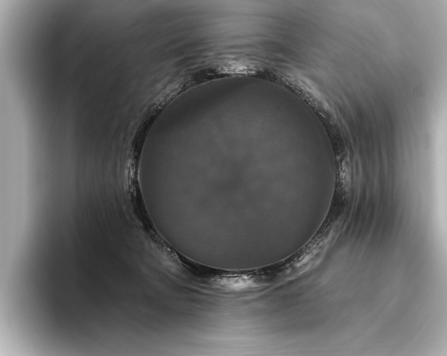 X0000094350322200711021437