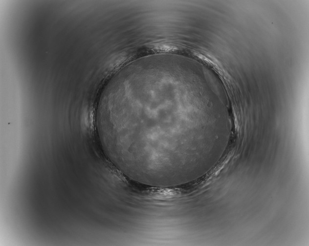 X0000094350330200711021437