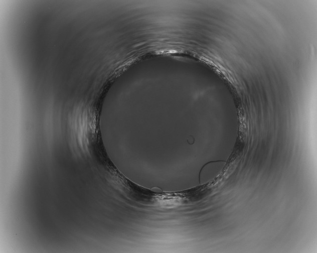 X0000094350331200711021437