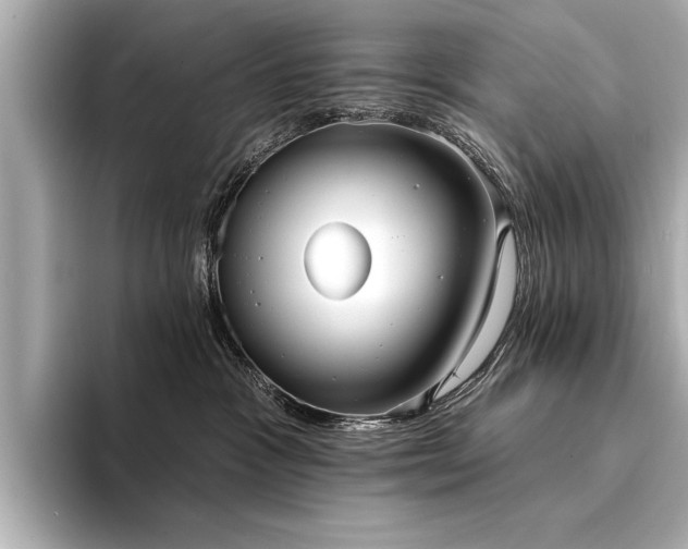 X0000094350333200711021437