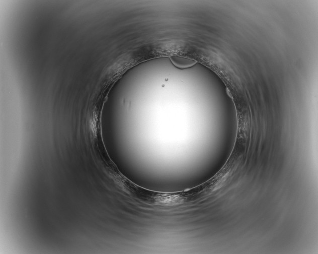 X0000094350334200711021437