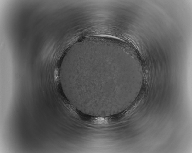 X0000094350335200711021437