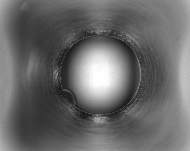 X0000094350336200711021437