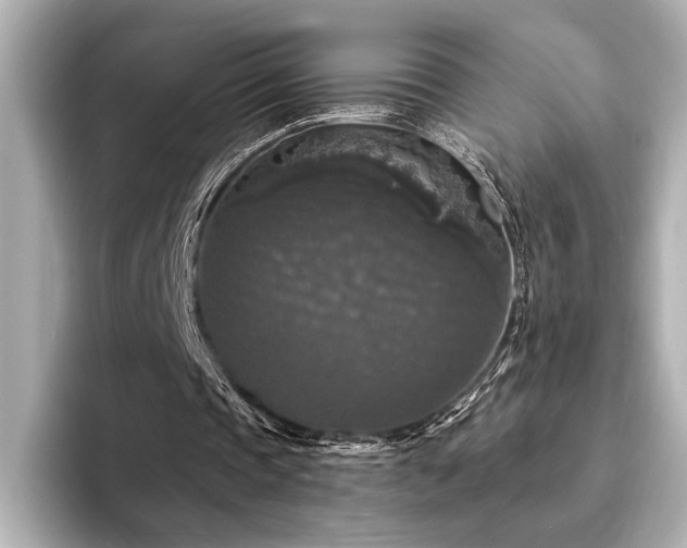 X0000094350337200711021436