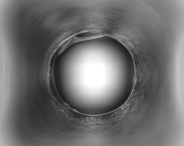 X0000094350338200711021436