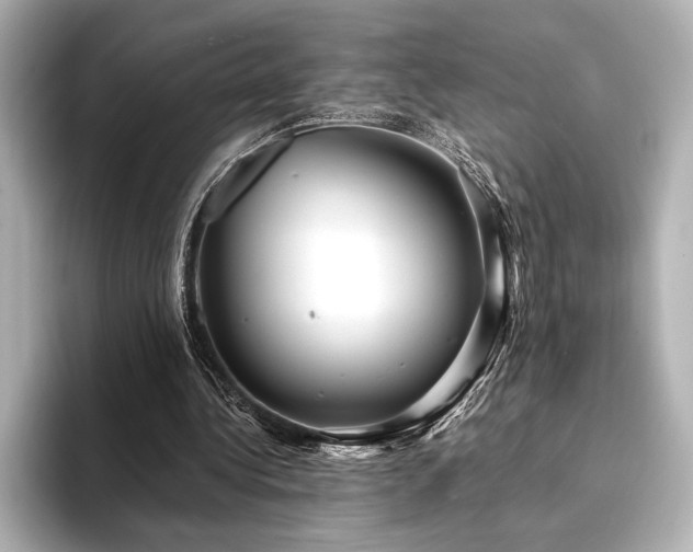 X0000094350340200711021437