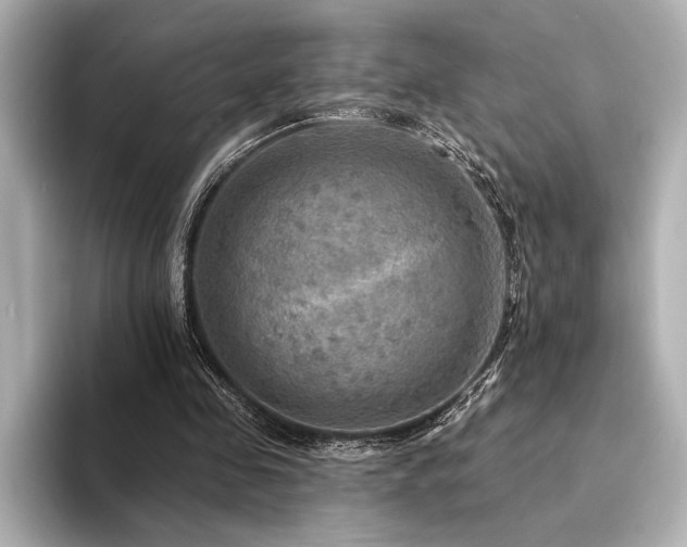 X0000094350341200711021437