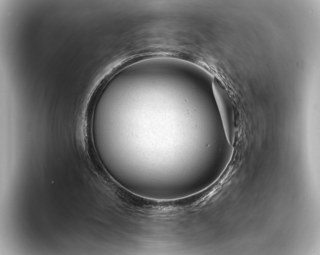 X0000094350342200711021437