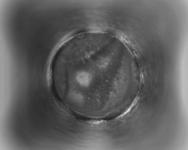 X0000094350343200711021437