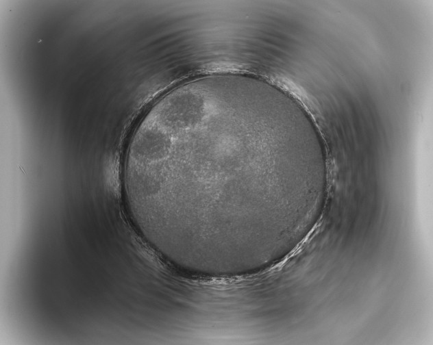 X0000094350345200711021437