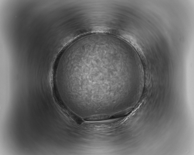 X0000094350346200711021437