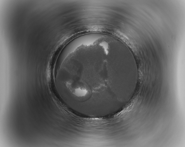 X0000094350347200711021437