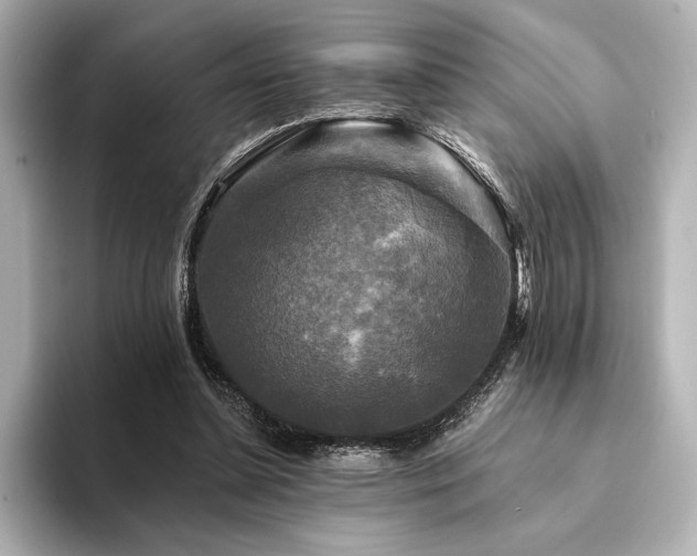 X0000094350348200711021437