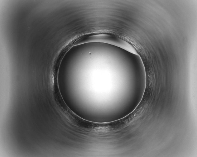 X0000094350350200711021437