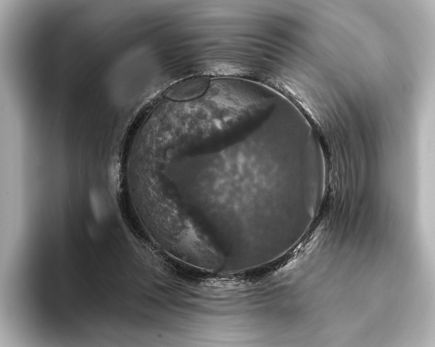 X0000094350351200711021437