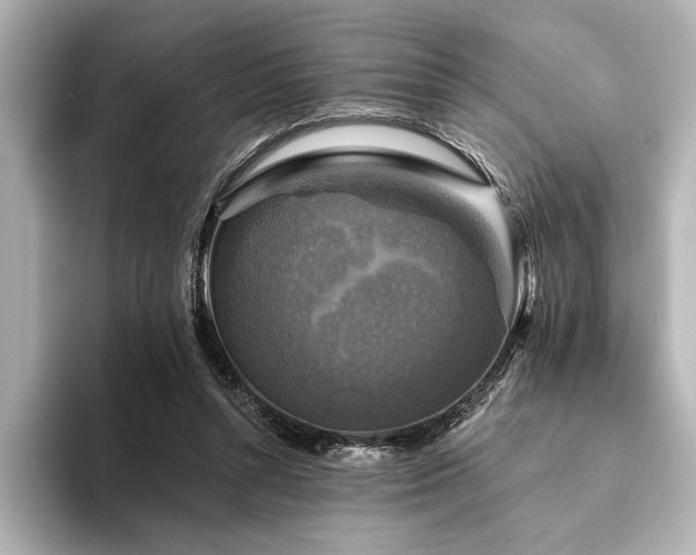 X0000094350352200711021437