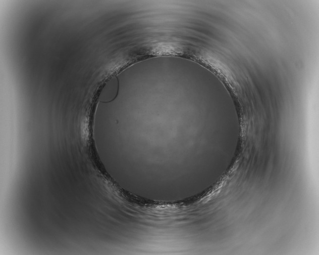 X0000094350353200711021437