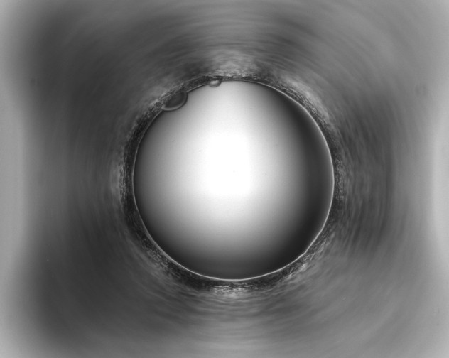 X0000094350354200711021437