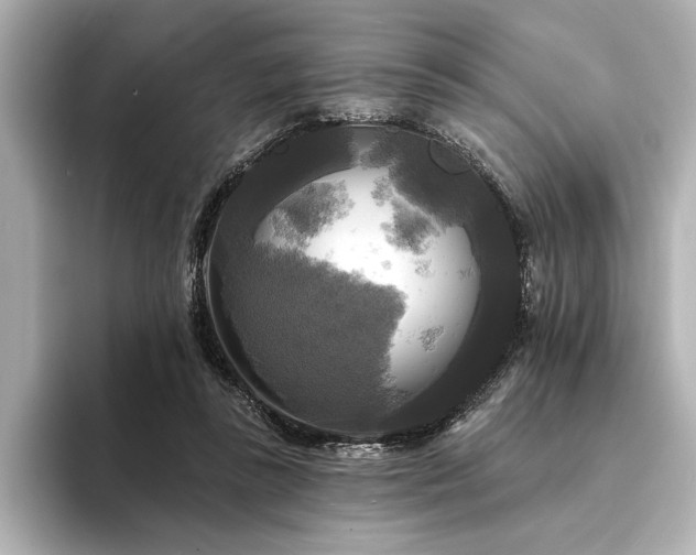 X0000094350355200711021437