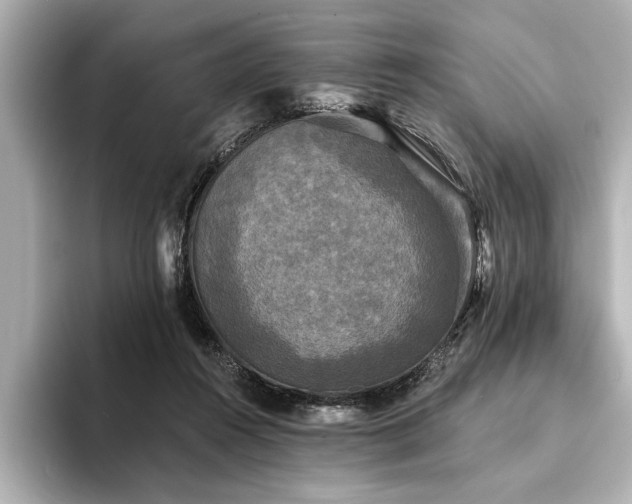 X0000094350360200711021437