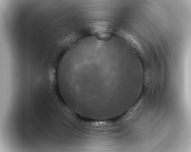 X0000094350361200711021437