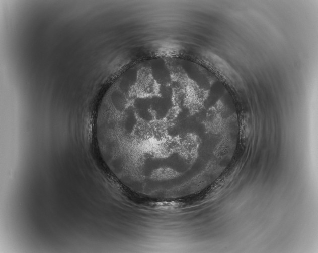 X0000094350363200711021437