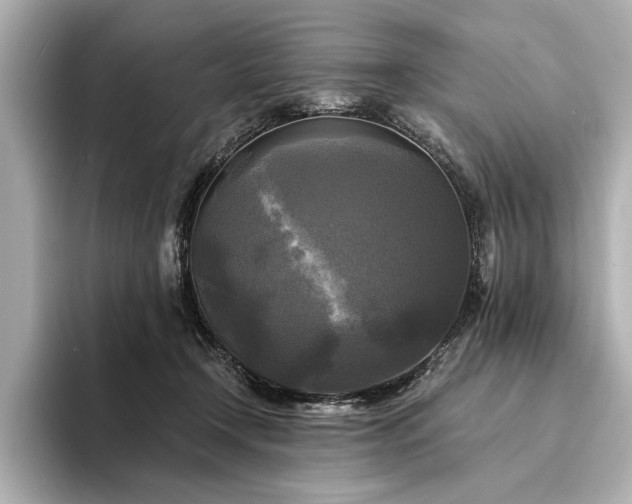 X0000094350366200711021437