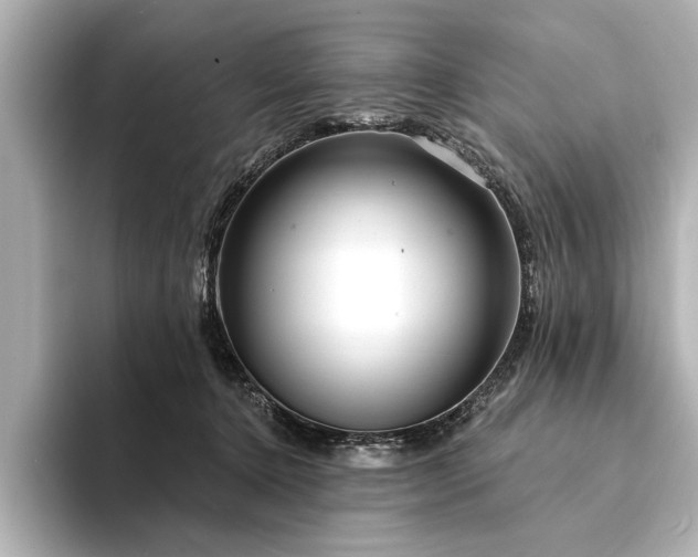 X0000094350368200711021437