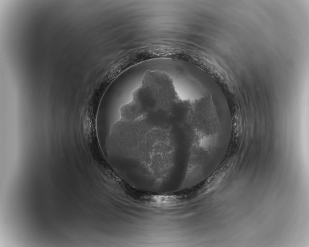 X0000094350371200711021437