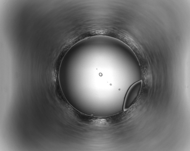 X0000094350374200711021437