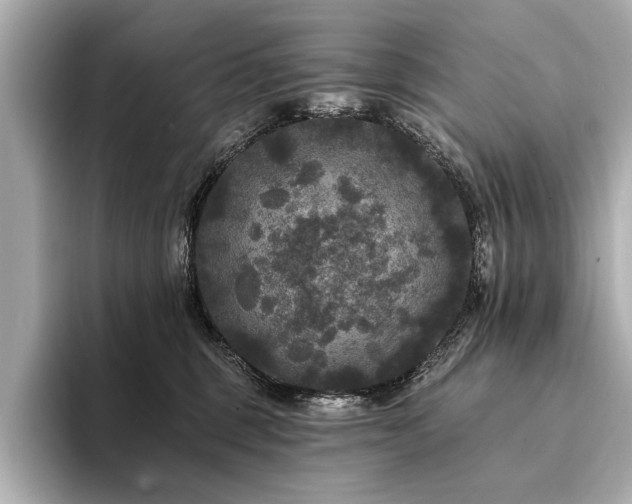 X0000094350375200711021437