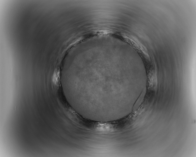 X0000094350376200711021437