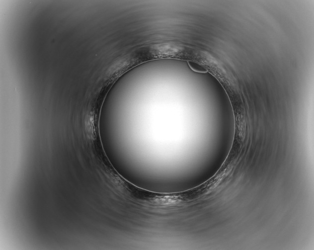 X0000094350378200711021437